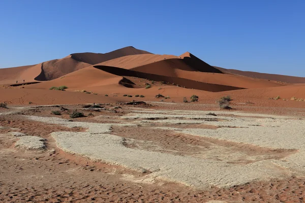 The Namib desert with the Deadvlei and Sossusvlei in Namibia — Stock Photo, Image