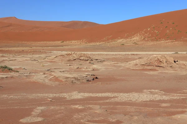 El desierto de Namib con los Deadvlei y Sossusvlei en Namibia — Foto de Stock