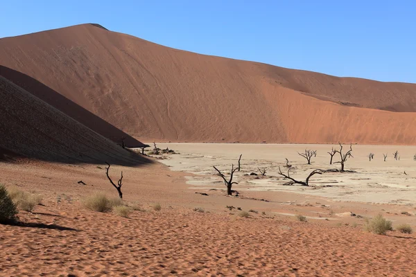 Deadvlei와 Sossusvlei 나미비아에서 나 미 브 사막 — 스톡 사진