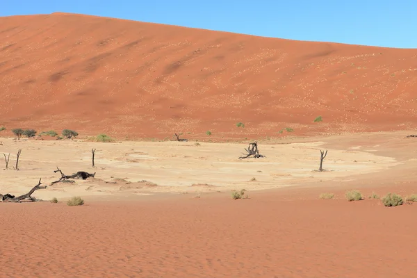 Пустыня Намиб с Дедлэй и Соссусвлей в Намибии — стоковое фото