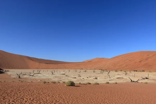 A Deadvlei és Namíbiából Sossusvlei Namíb-sivatag — Stock Fotó