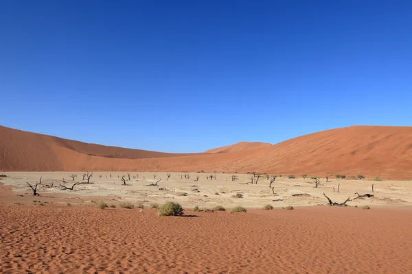 El desierto de Namib con los Deadvlei y Sossusvlei en Namibia — Foto de Stock