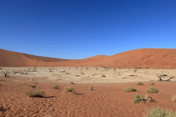 A Deadvlei és Namíbiából Sossusvlei Namíb-sivatag — Stock Fotó
