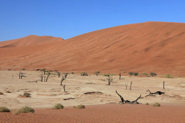 Namibská poušť s Deadvlei a Sossusvlei v Namibii — Stock fotografie