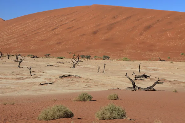 Namibská poušť s Deadvlei a Sossusvlei v Namibii — Stock fotografie