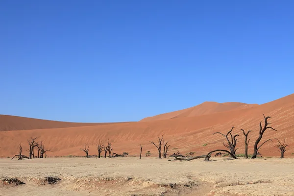 Il deserto del Namib con i Deadvlei e i Sossusvlei in Namibia — Foto Stock