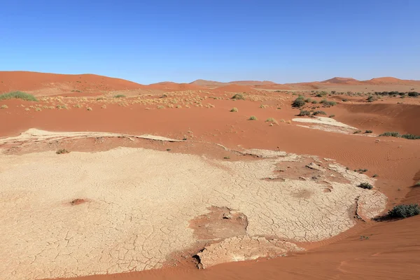 O deserto da Namíbia com o Deadvlei e Sossusvlei na Namíbia — Fotografia de Stock