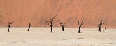 Namib Çölü Deadvlei ve Sossusvlei Namibya