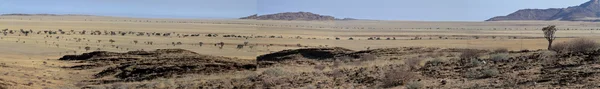 La sabana de Namibia en África — Foto de Stock