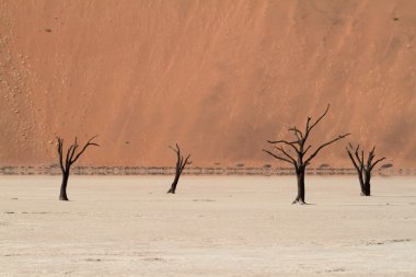 Namib Çölü Deadvlei ve Sossusvlei Namibya