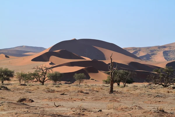 Deadvlei ナミビア ソーサス フライとナミブ砂漠 — ストック写真