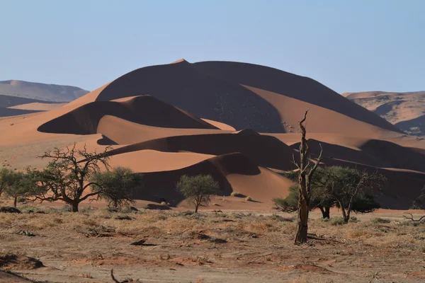 O deserto da Namíbia com o Deadvlei e Sossusvlei na Namíbia — Fotografia de Stock