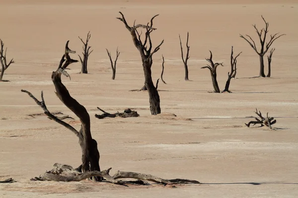 O deserto da Namíbia com o Deadvlei e Sossusvlei na Namíbia — Fotografia de Stock