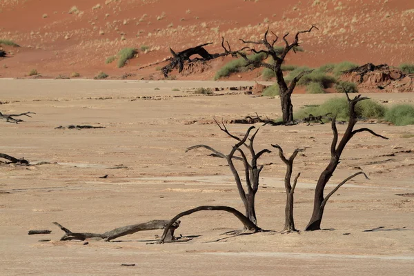 Il deserto del Namib con i Deadvlei e i Sossusvlei in Namibia — Foto Stock