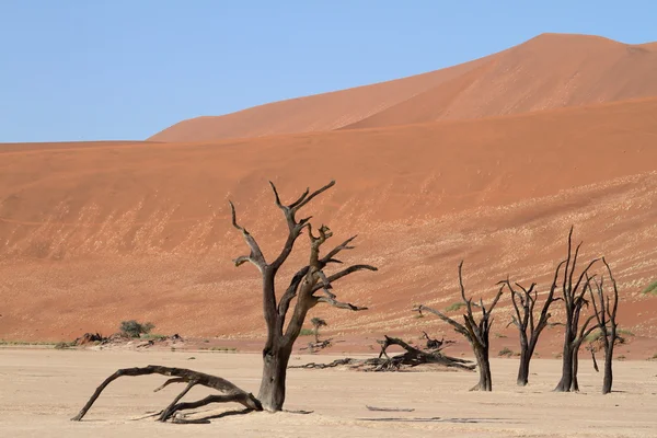 O deserto da Namíbia com o Deadvlei e Sossusvlei na Namíbia — Fotografia de Stock