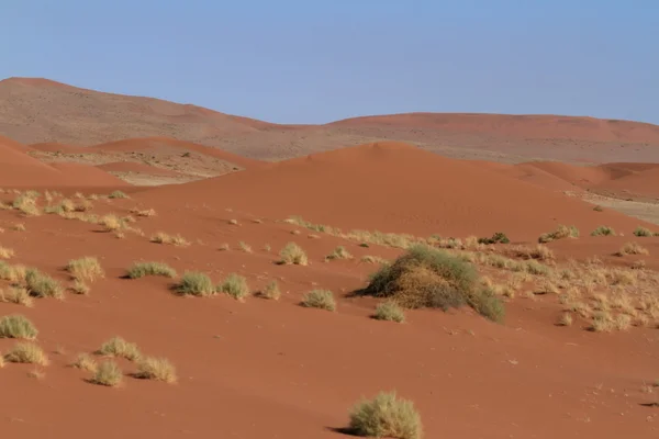 与 Deadvlei 和苏斯在纳米比亚纳米布沙漠 — 图库照片