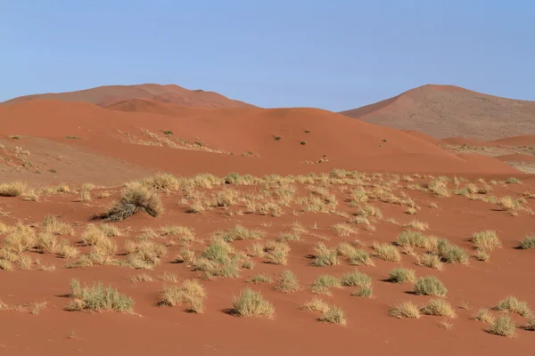 Le désert namibien avec les Deadvlei et Sossusvlei en Namibie — Photo