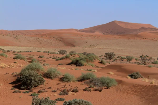 El desierto de Namib con los Deadvlei y Sossusvlei en Namibia —  Fotos de Stock
