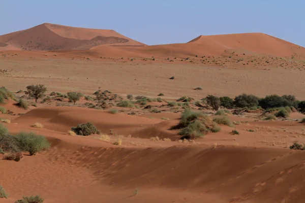A Deadvlei és Namíbiából Sossusvlei Namíb-sivatag — Stock Fotó