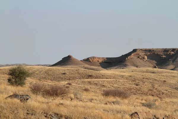 La sabana de Namibia en África — Foto de Stock