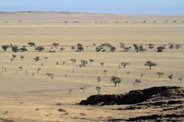 Die savanne namibiens in afrika — Stockfoto