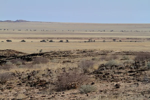 De savanne van Namibië in Afrika — Stockfoto
