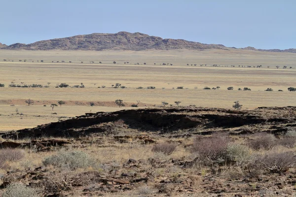 Die savanne namibiens in afrika — Stockfoto