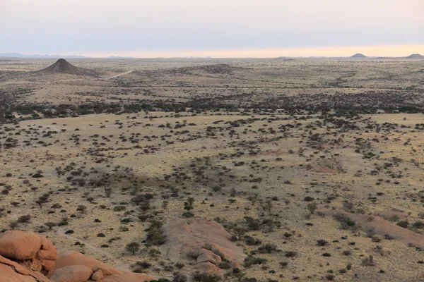 Die savanne in namibia — Stockfoto