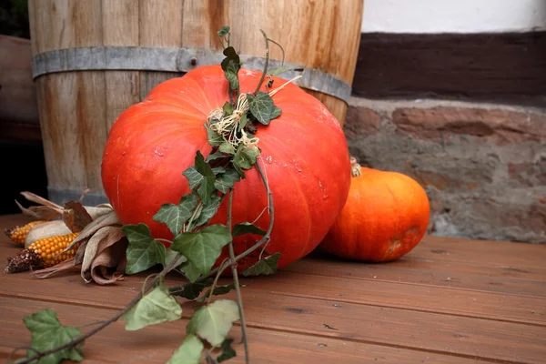 Autumnal decoration with pumpkin for Halloween — Stock Photo, Image