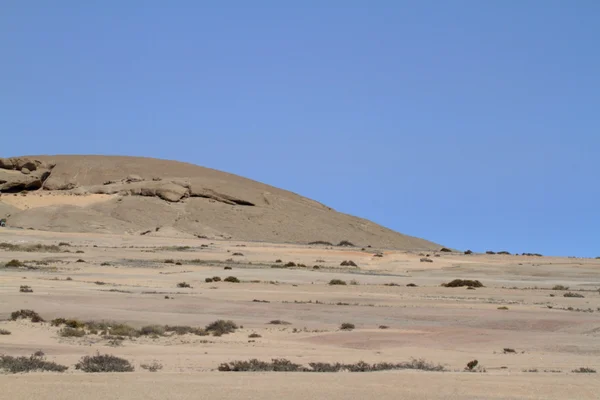 Namib öknen i namibia — Stockfoto