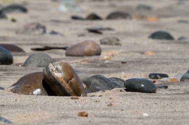 Kumsalda çakıl taşı