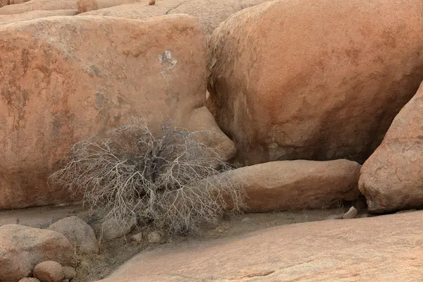 De namib woestijn in namibia — Stockfoto