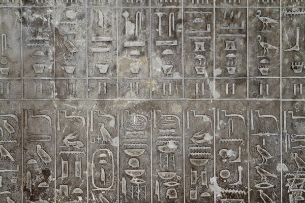 The Egyptian Hieroglyphics — Stock Photo, Image