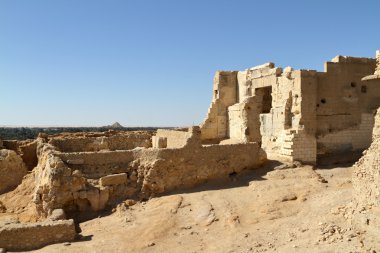Siwa oasis kasaba Ammon Tapınağı