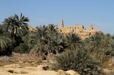 Siwa oasis kasaba Ammon Tapınağı