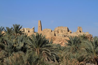 Siwa oasis kasaba Ammon Tapınağı