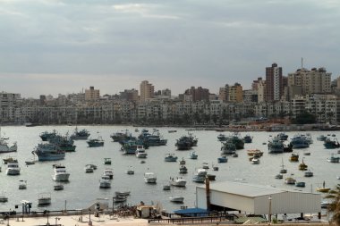 Mısırdaki İskenderiye şehri.