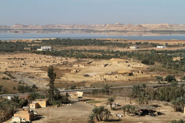 The Siwa Oasis in the Sahara of Egypt — Stock Photo, Image