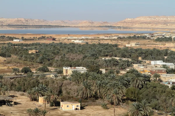 The Siwa Oasis in the Sahara of Egypt — Stock Photo, Image