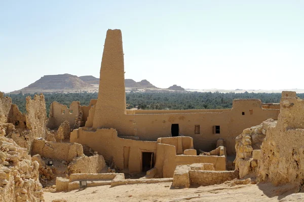 Siwa oasis kasaba Ammon Tapınağı — Stok fotoğraf