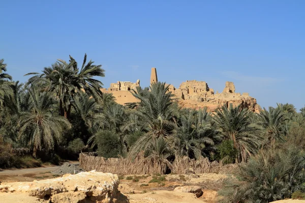 Templet Ammon i oasis staden av Siwa — Stockfoto