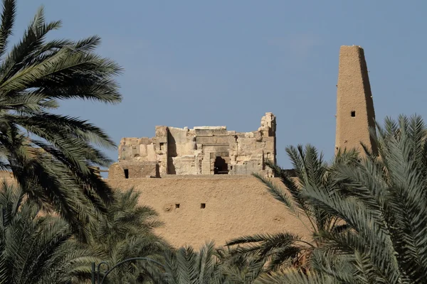 Siwa oasis kasaba Ammon Tapınağı — Stok fotoğraf