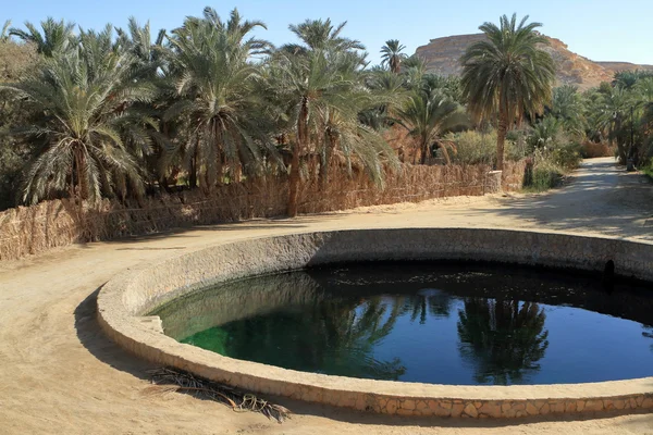 Mısır'daki Sahra'da Siwa Oasis — Stok fotoğraf