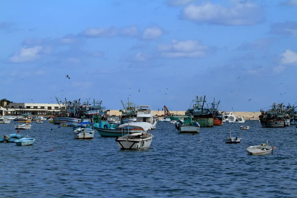 Łodzie rybackie w Port w Aleksandrii — Zdjęcie stockowe