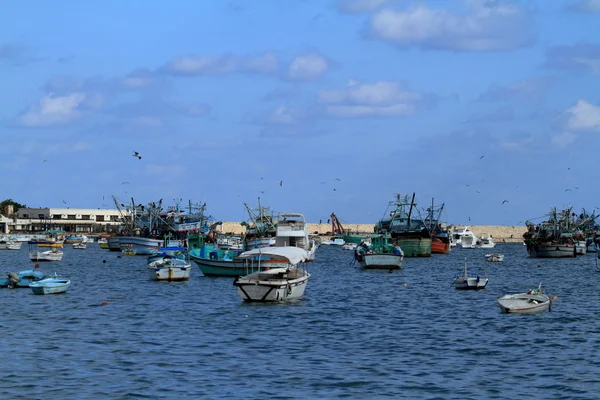 Fischerboote im Hafen von Alexandria — Stockfoto