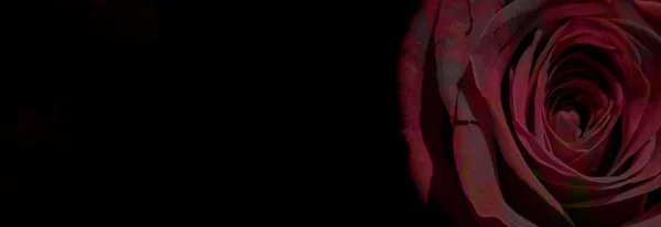 Silhouette Une Femme Nue Sur Fond Abstrait Avec Rose Rouge — Photo