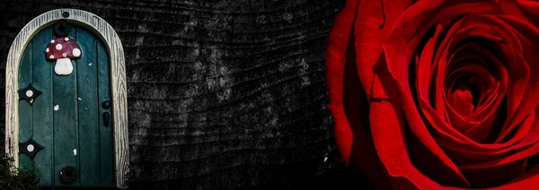 Силует Оголеної Жінки Абстрактному Тлі Червоною Трояндою Лесбійка Займається Коханням — стокове фото