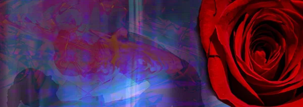 ภาพเงาของผ งเปล อยบนพ นหล งนามธรรมด วยก หลาบแดง เลสเบ ยนสร างความร — ภาพถ่ายสต็อก