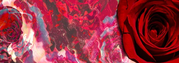 ภาพเงาของผ งเปล อยบนพ นหล งนามธรรมด วยก หลาบแดง เลสเบ ยนสร างความร — ภาพถ่ายสต็อก