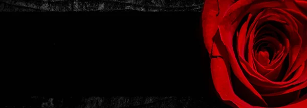 Silhouet Van Een Naakte Vrouw Een Abstracte Achtergrond Met Rode — Stockfoto